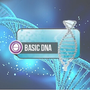 Basic DNA-Icon