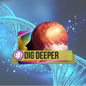 Dig Deeper-Icon