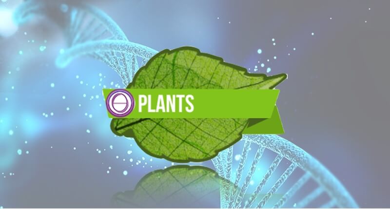 Plants-Event